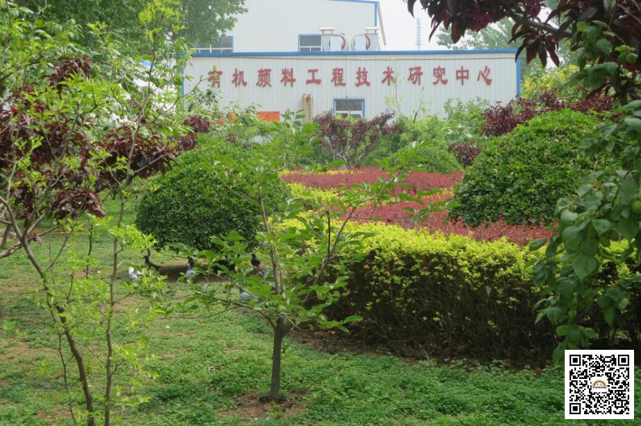 国语自产少妇精品视频蜜桃顏料色粉